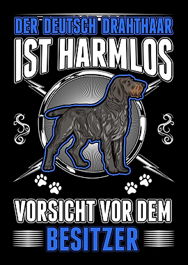 Deutsch Drahthaar Besitzer