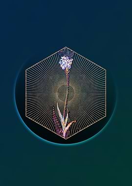 Gold Chincherinchee Mosaic