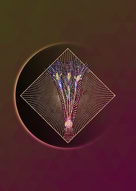 Cloth of Gold Crocus