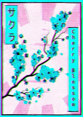 Sakura Cherry Blossom