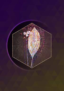 Bulltongue Arrowhead