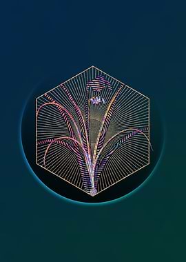 Geometric Mosaic Brimeura