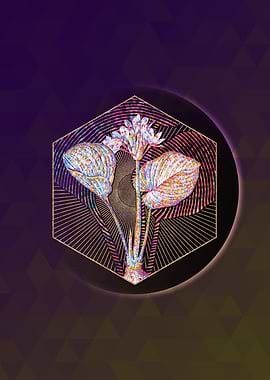 Cardwell Lily Mosaic