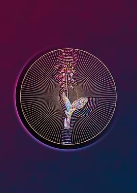 Brown Widelip Orchid