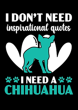 I Need A Chihuahua Dog