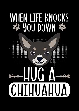 Hug A Chihuahua