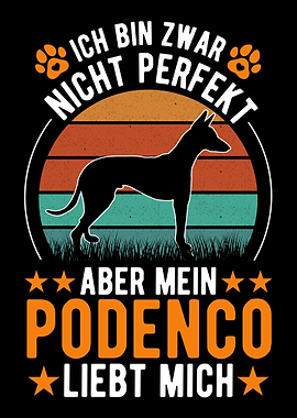 Podenco Spanischer Windhun