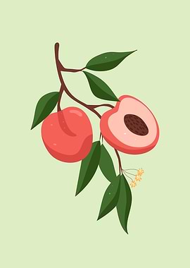 Fresh Peach fruit wall art