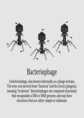 Bacteriophage