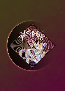 Crinum Erubescens Mosaic