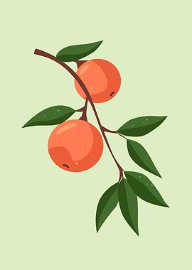 Orange fruit green leaf