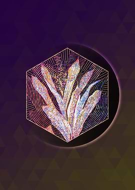 Cordyline Fruticosa Mosaic