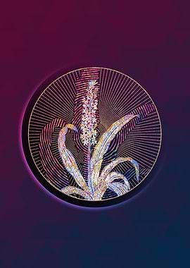 Eucomis Punctata Mosaic