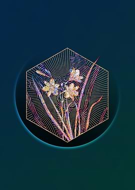 Geometric Mosaic Daylily