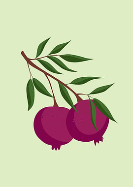 Purple pomegranate fruits