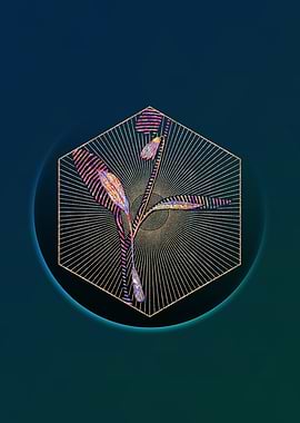 Erythronium Floral Mosaic