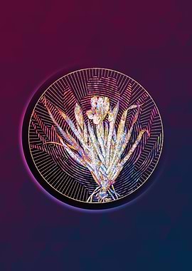 Crimean Iris Floral Mosaic