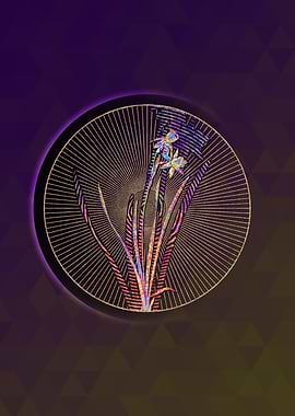 Narcissus Calathinus