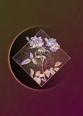 Lady Monson Rose Bloom