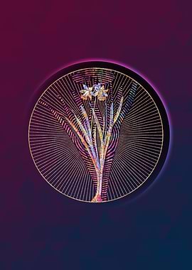 Lesser Wild Daffodil