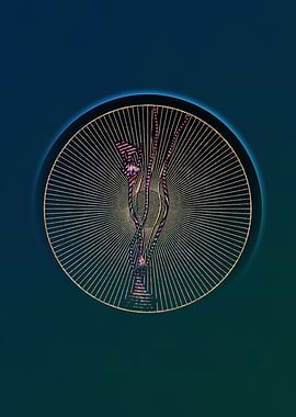 Ornithogalum Spathaceum