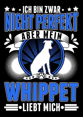 Whippet Hund Windhund Sigh