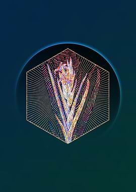 Geometric Mosaic Ferraria