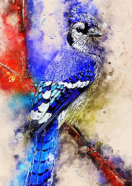 bird watercolor new