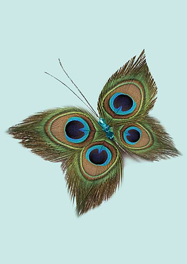 PEACOCK FEATHER BUTTERFLY