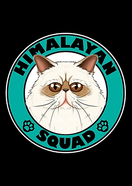 Himalayan Squad I Cat