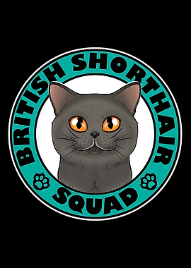 British Shorthair Squad I