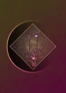 Ixia Crispa Floral Mosaic