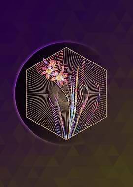 Ixia Tricolor Mosaic