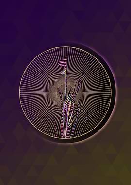 Narrow leaf Blue Eye grass