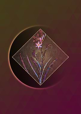 Ixia Secunda Floral Mosaic