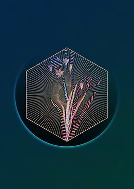 Gold Ixia Bulbifera Mosaic