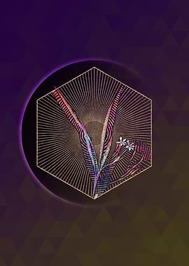 Gladiolus Inclinatus