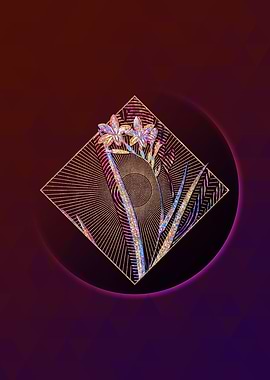 Gladiolus Cardinalis