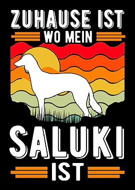Zuhause ist wo mein Saluki