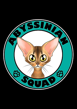 Abyssinian Squad I Cat