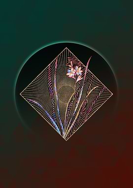 Gladiolus Lineatus Mosaic