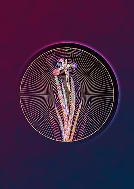 Harlequin Blueflag Mosaic