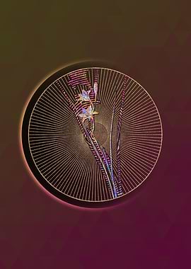 Geometric Mosaic Gladiolus