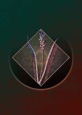 Lachenalia Pallida Mosaic