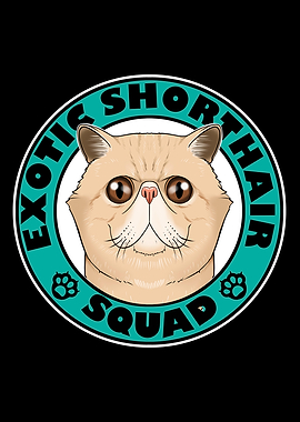 Exotic Shorthair Squad I