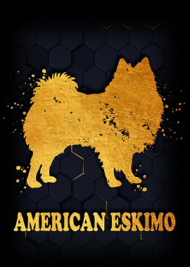 AMERICAN ESKIMO