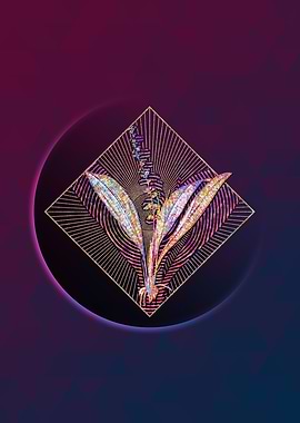 Peliosanthes Teta Mosaic