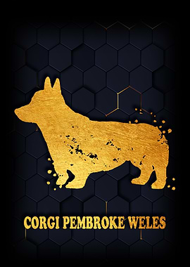 Corgi Pembroke Wales
