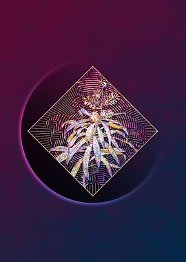 Geometric Mosaic Pleomele