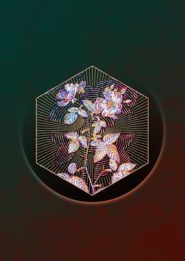 Red Bramble Leaved Rose